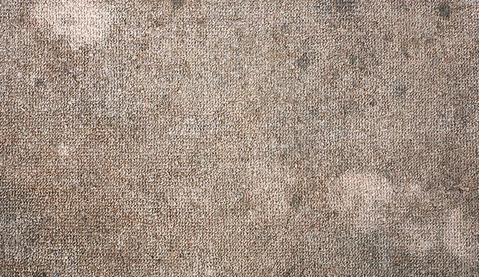 A severely water damaged carpet