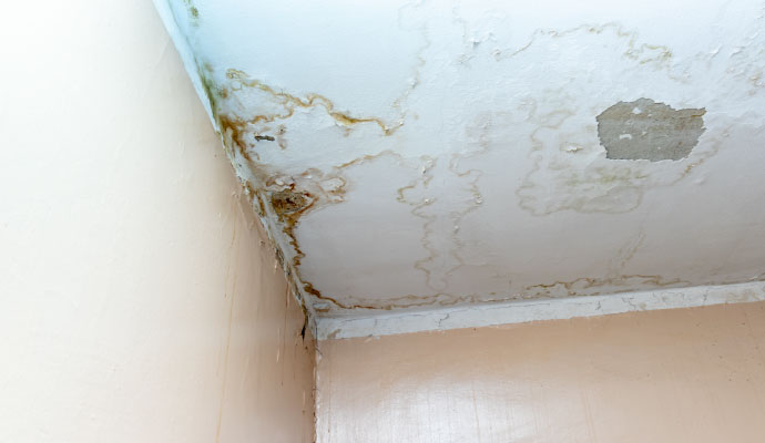 Water damage stains on ceiling