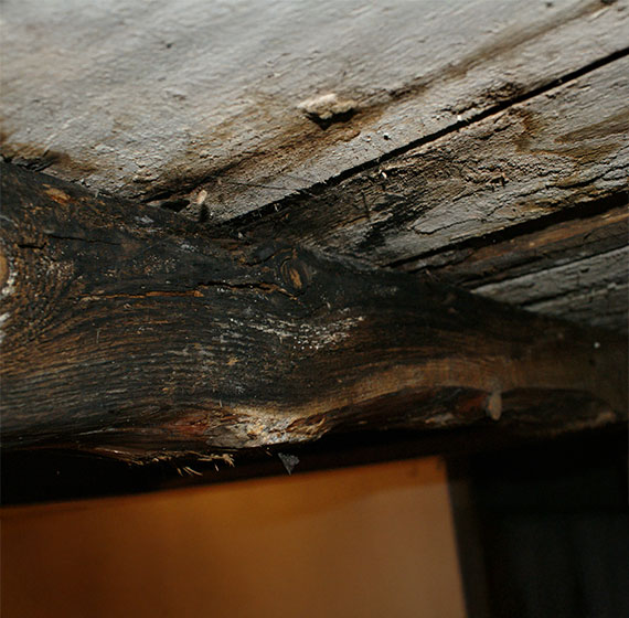 Water damaged attic