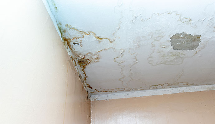 Water damaged ceiling