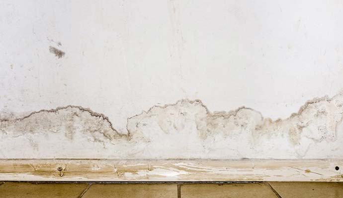 Water damaged structural wall