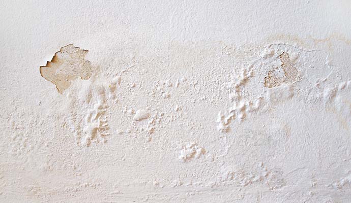 Water damaged wall