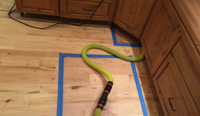 Water extraction service for wooden floor