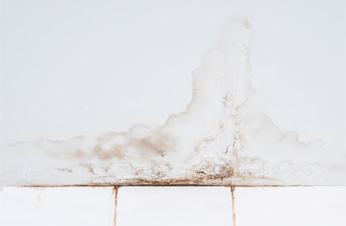 Water Damage Stain Restoration in Billings, MT