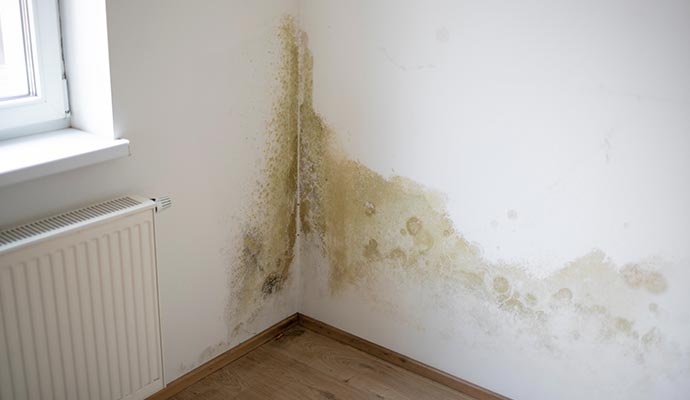 Visible water stains and mold growth on an interior wall