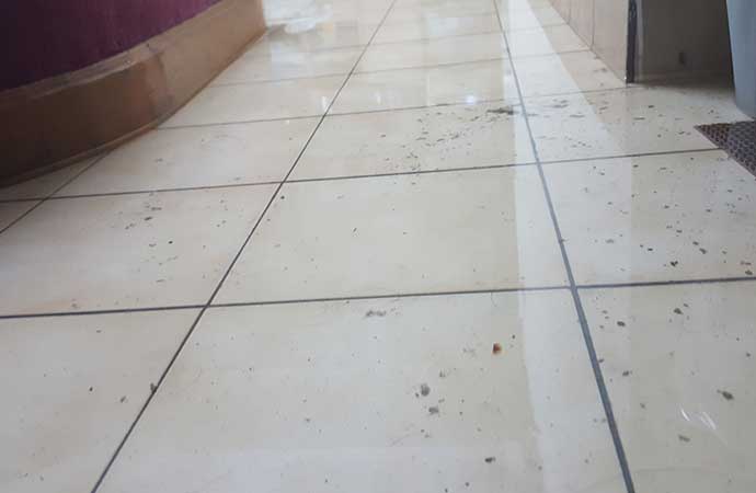 what to do after sewage back up