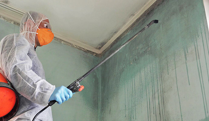Worker spraying mold treatment